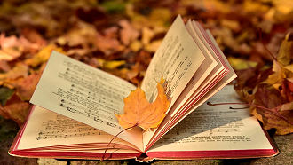 FALL LEAVES WITH A BOOK